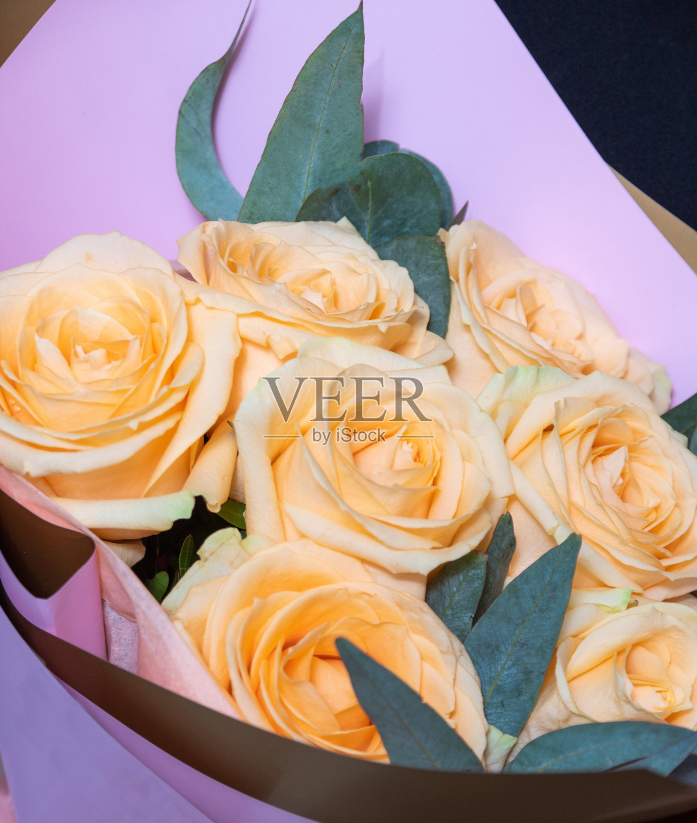 桃花玫瑰在粉红色包装的特写。花店的图片，明信片。有选择性的重点。照片摄影图片