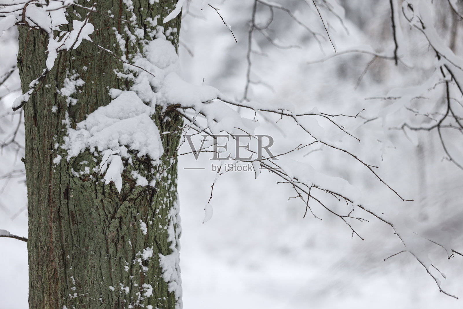 近距离摄影雪的细节。照片摄影图片