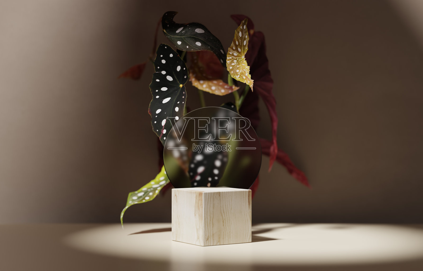 3D平台，显示，米色背景。天然化妆品或美容产品促销模型。褐色木台阶底座，异国情调的点海棠植物叶影。复制空间3D横幅。渲染图照片摄影图片