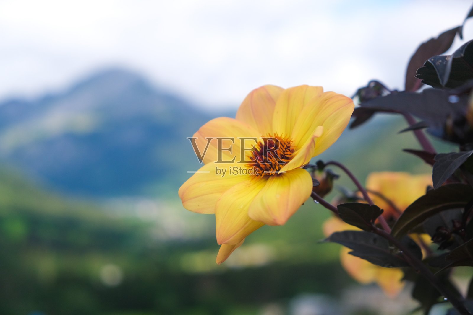 景观山照片摄影图片