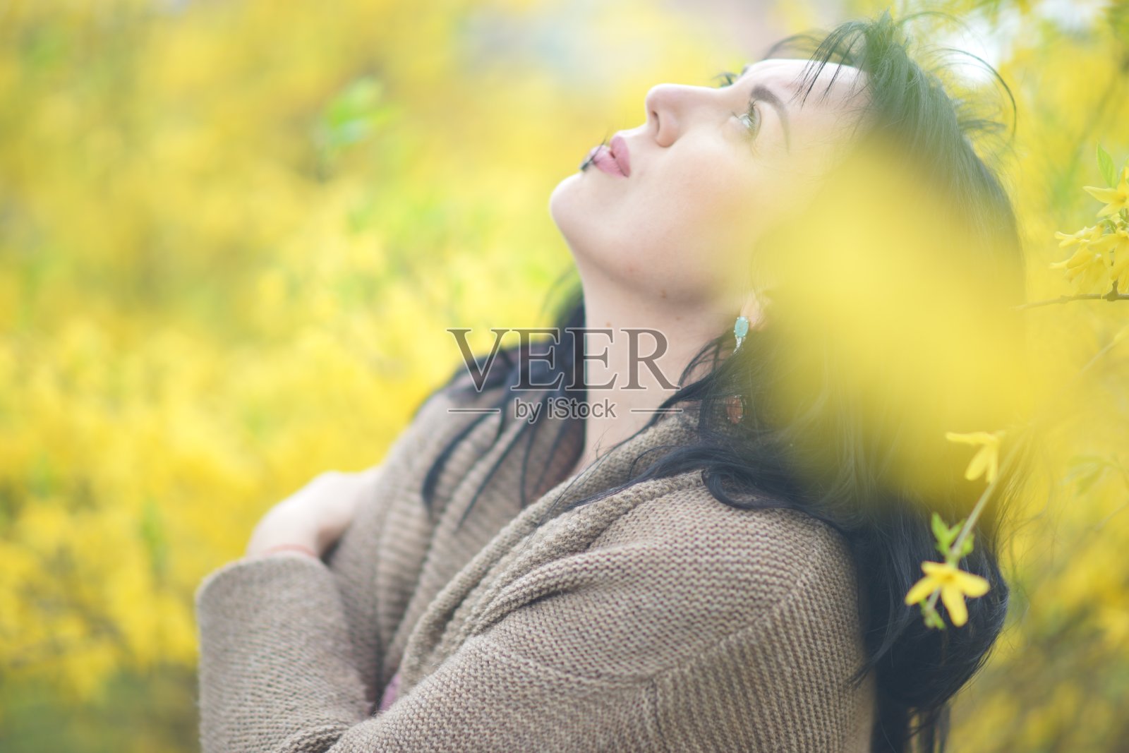 一个戴着黄花的女人的肖像。春天的季节。国际妇女节。梦幻。浪漫的照片摄影图片