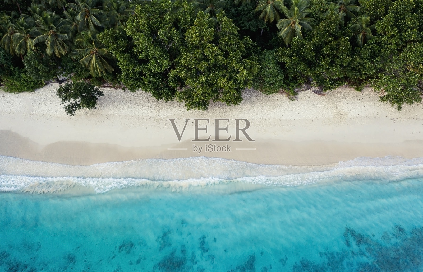 塞舌尔照片摄影图片