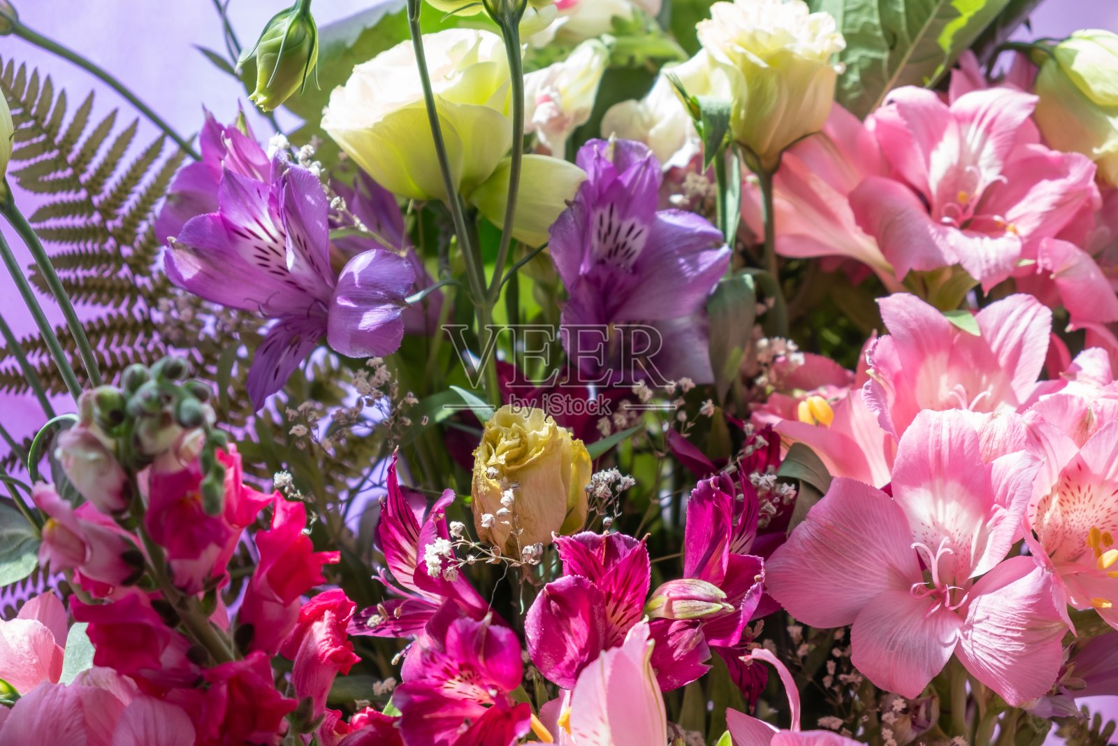 花束装饰美丽盛开。叶照片摄影图片