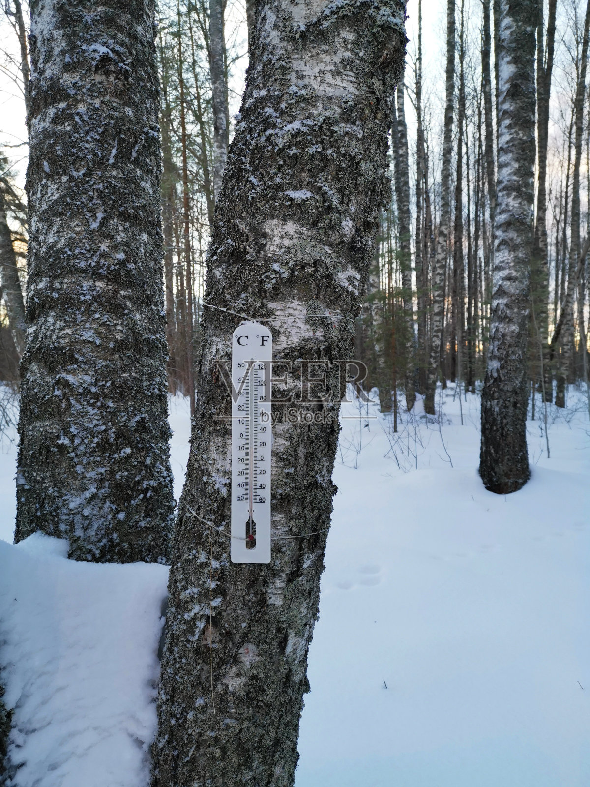 冬天外面树皮上的温度计照片摄影图片