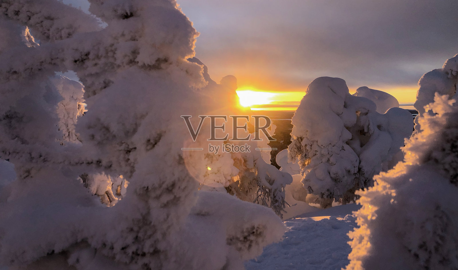 拉普兰的冬季景观，从鲁卡山上俯瞰。明亮多彩的日落和白雪覆盖的树木。照片摄影图片