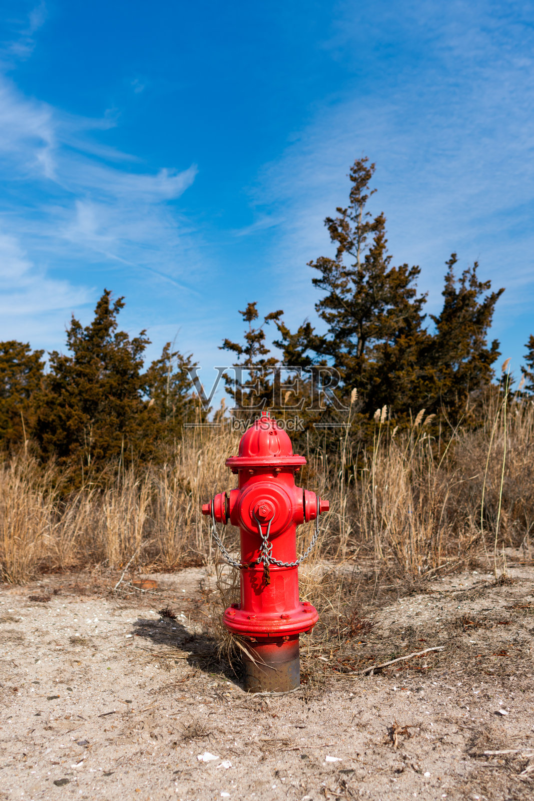 海滩上的消防栓照片摄影图片