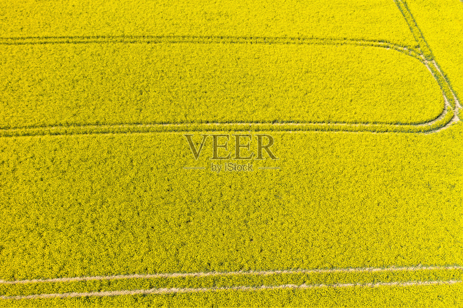 鸟瞰德国陶努斯的油菜田照片摄影图片