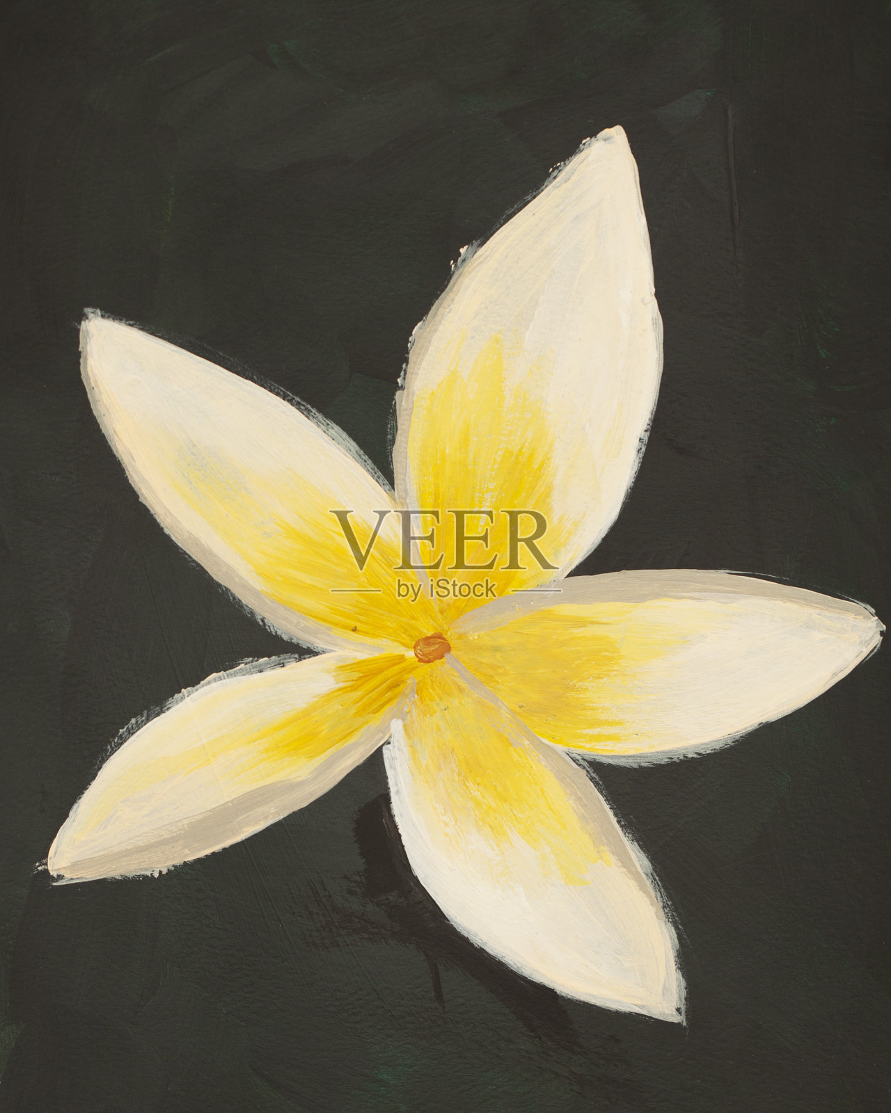 绘画美丽的花朵。插画图片素材