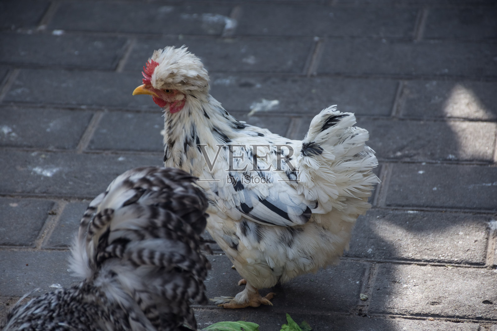 中国古都——历史名城西安的惊人地标照片摄影图片
