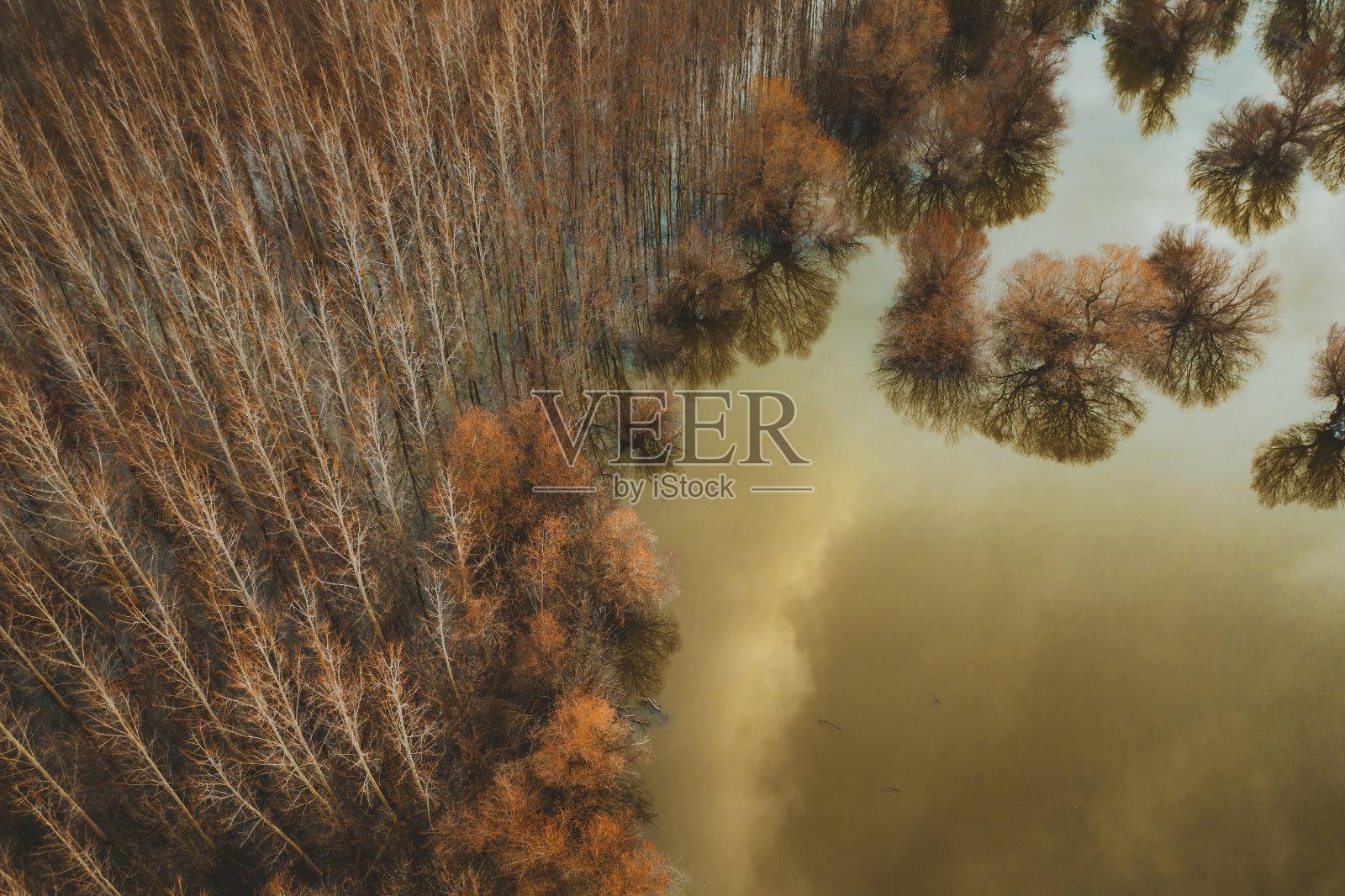 无人机探测到被淹没的林地照片摄影图片