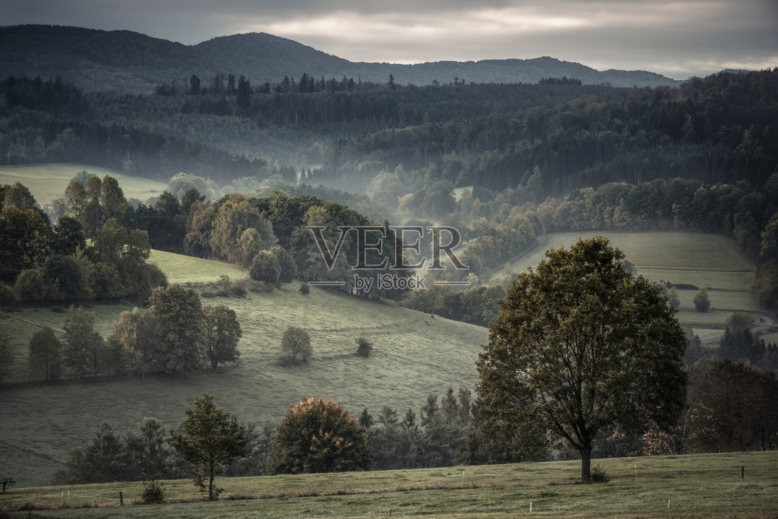 秋天的罗讷河畔的田野照片摄影图片