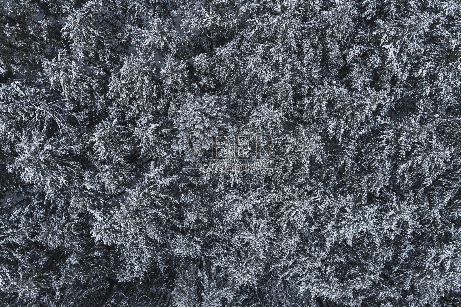 冬天的风景照片摄影图片