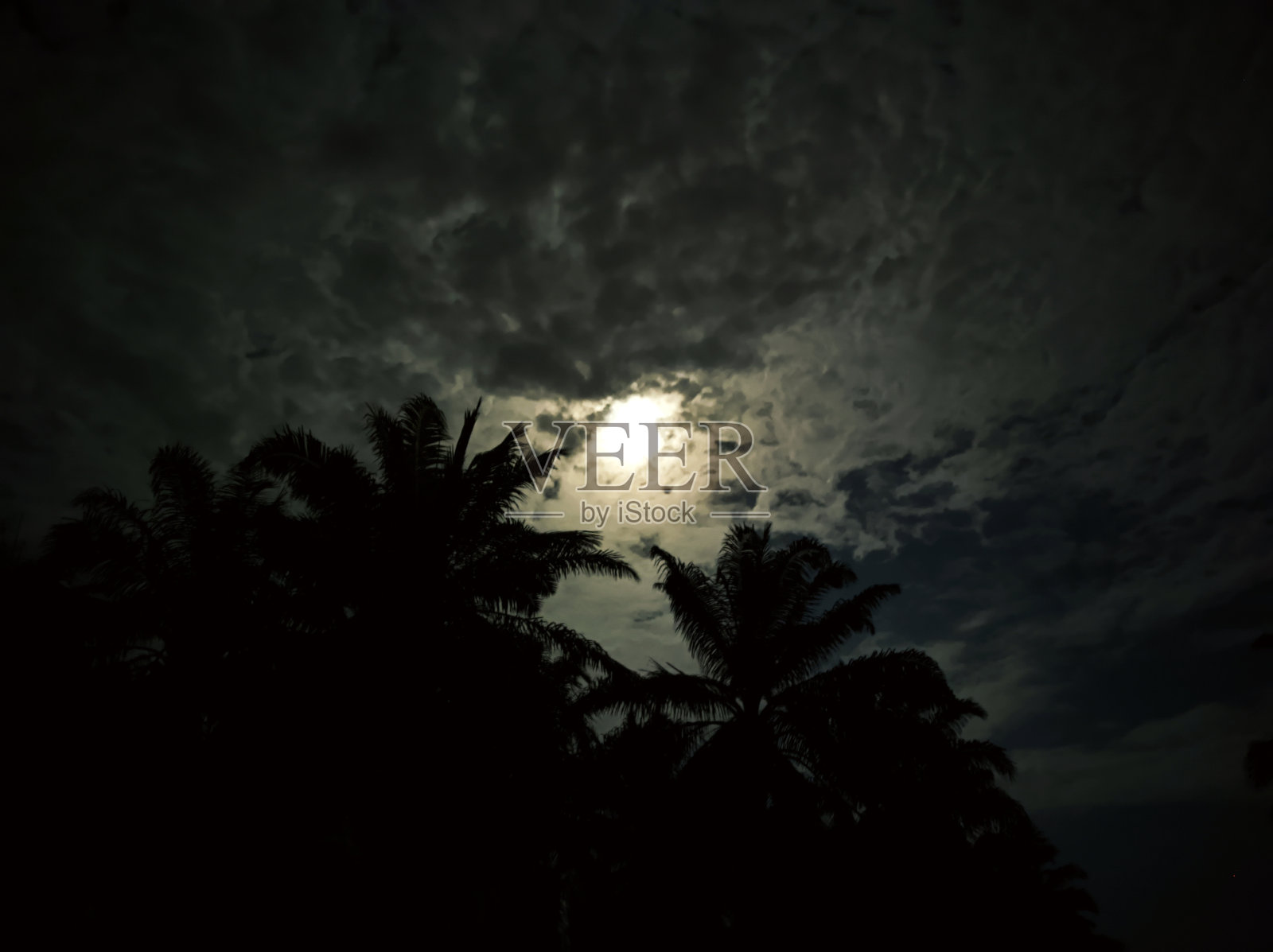 美丽的夜空照片摄影图片