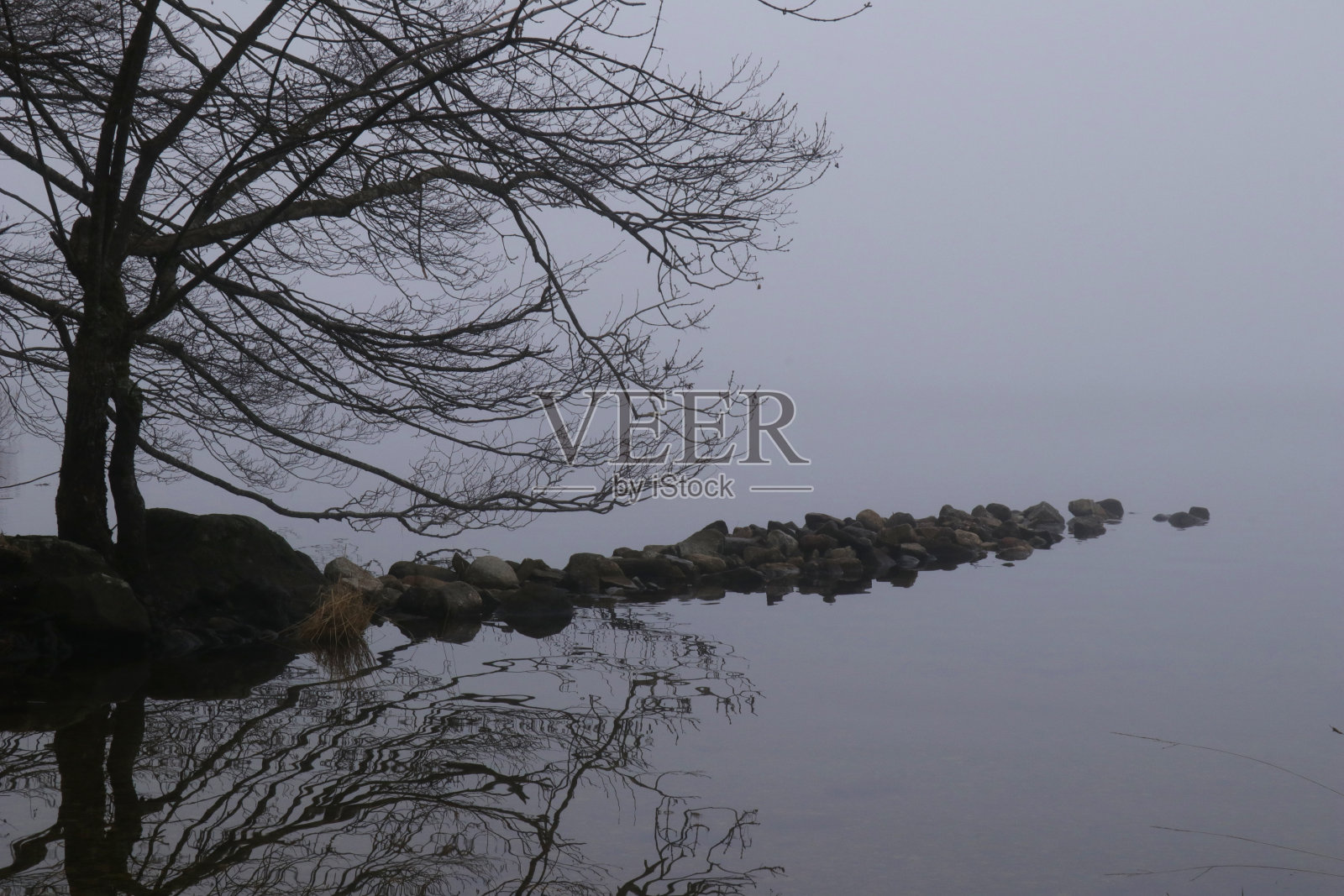 Sanabria看到照片摄影图片