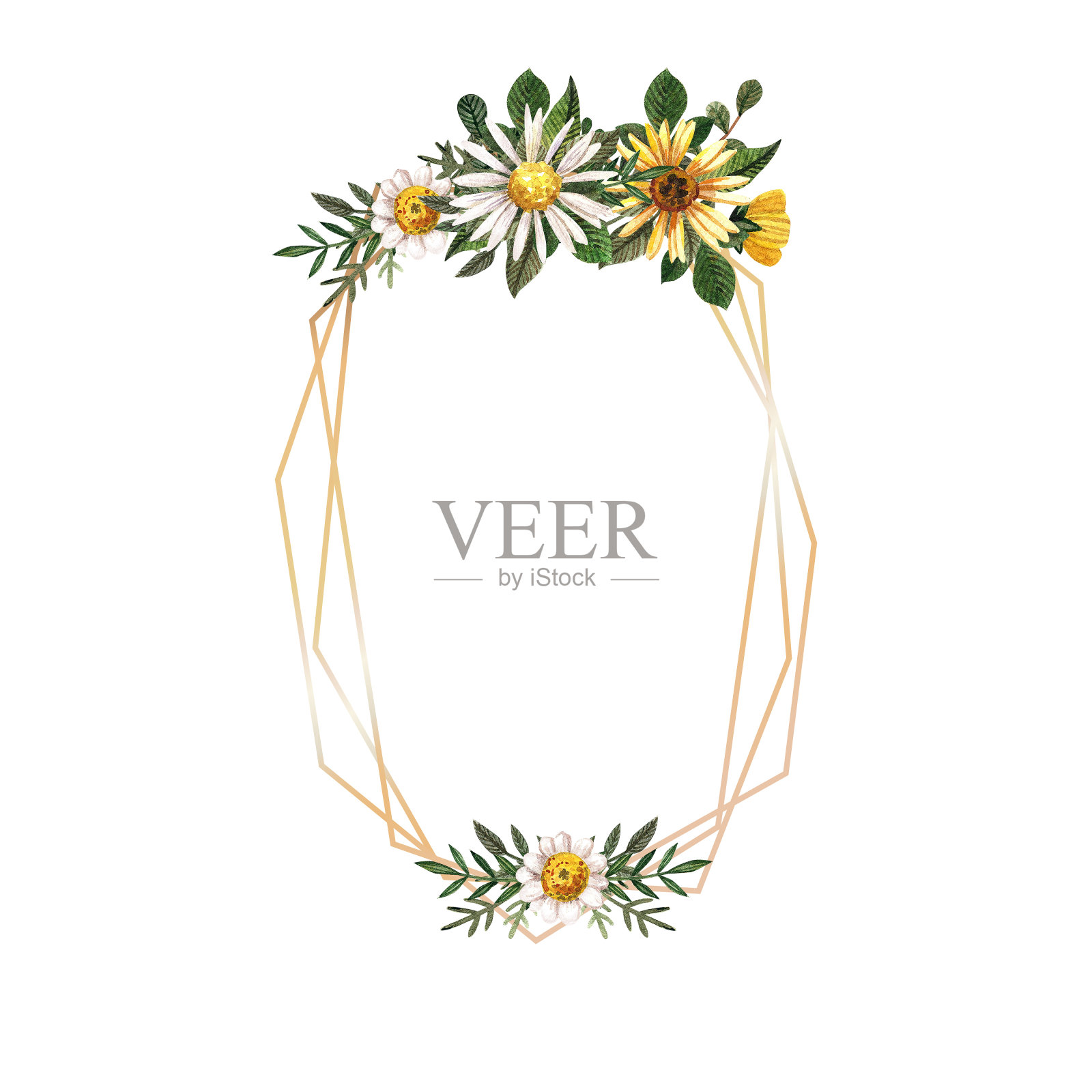 金色框架与水彩压制和干花在白色背景插画图片素材