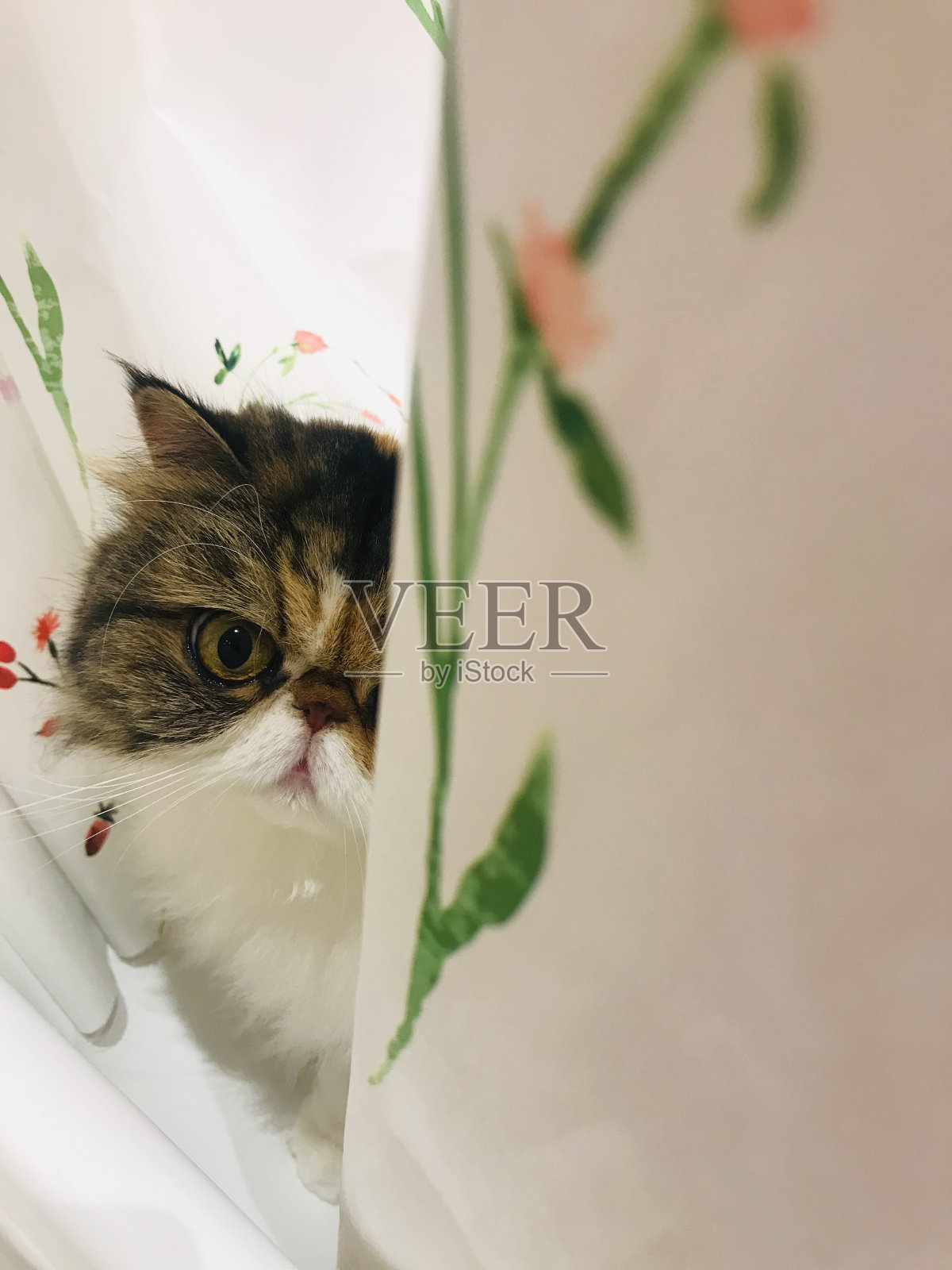 抓住我照片摄影图片