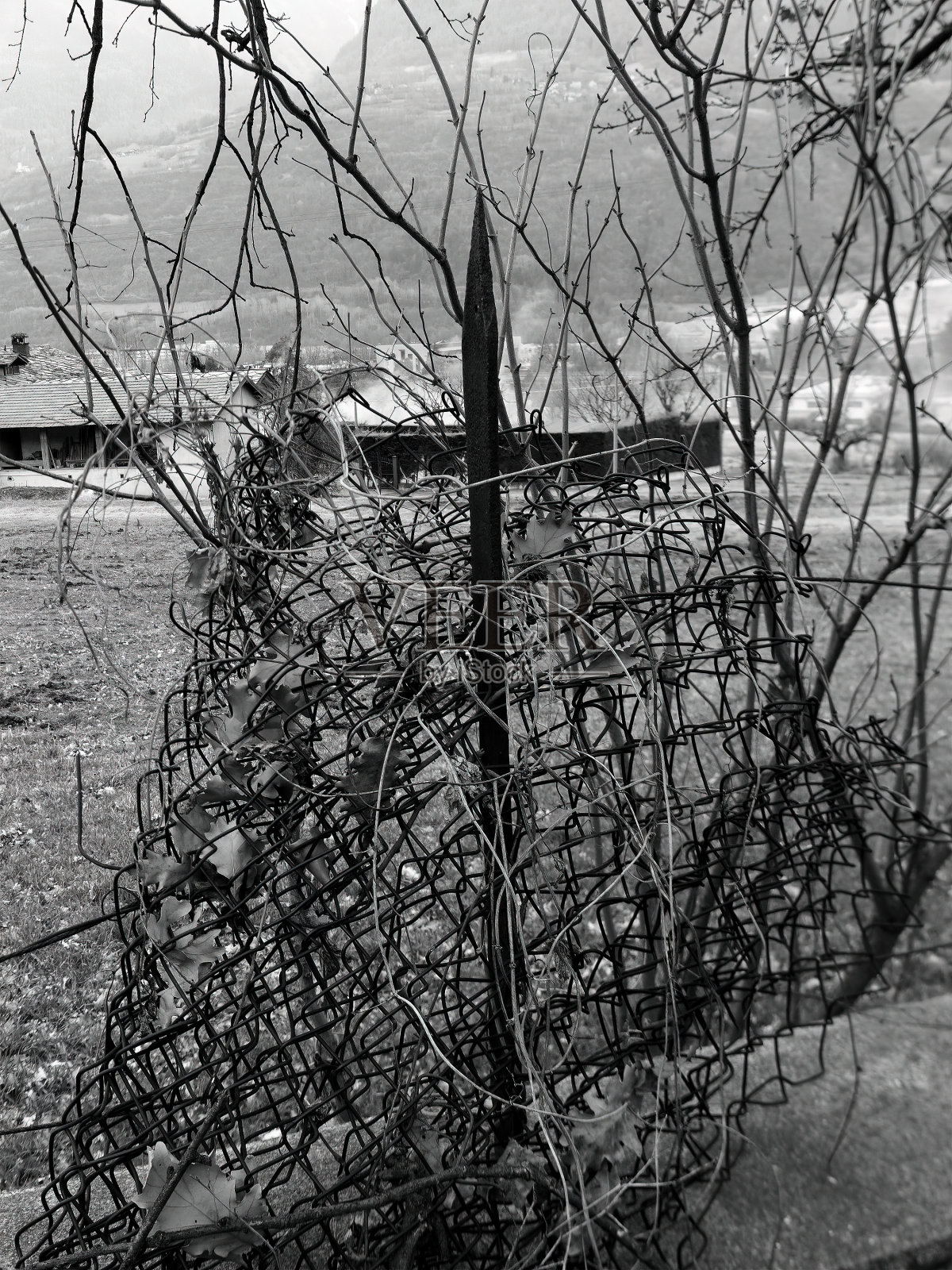 背景是山，前景是自然框架照片摄影图片