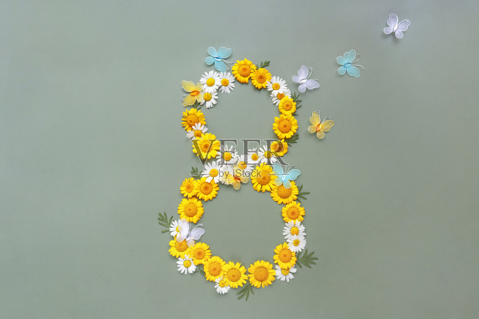三八国际妇女节贺卡。花朵洋甘菊在数字8和蝴蝶在绿色的背景。照片摄影图片