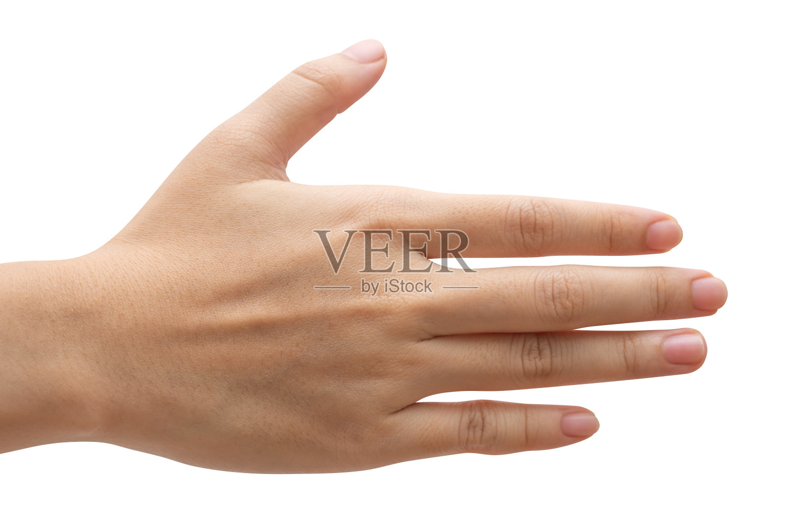 女人伸出手，随时准备帮助或接受。手势孤立在白色背景上。照片摄影图片