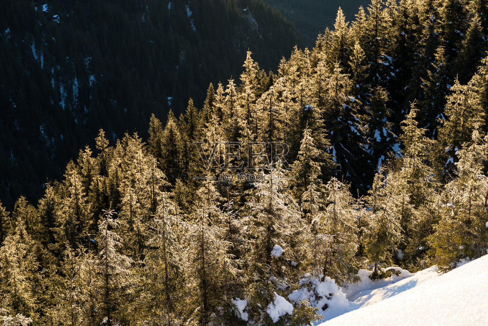 克林西亚山谷，布切吉山脉，罗马尼亚照片摄影图片