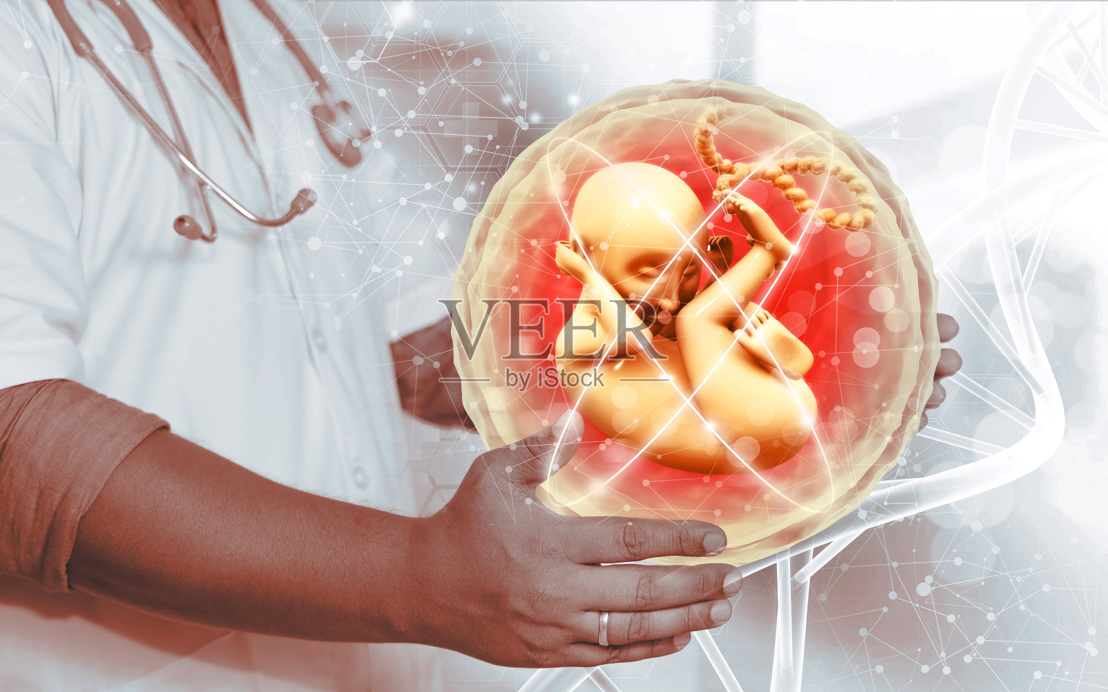 保护和支持人类胎儿的照片摄影图片