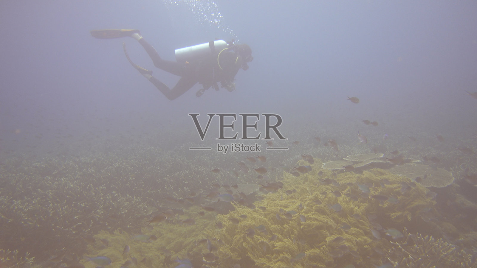 水下视图的人潜水附近的礁石照片摄影图片