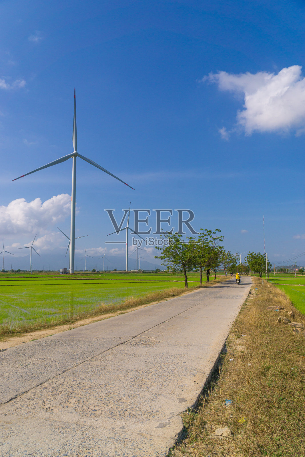 越南潘琅宁静的自然风光。在夏天，风力涡轮机在有许多树木的稻田和乡村道路上。照片摄影图片