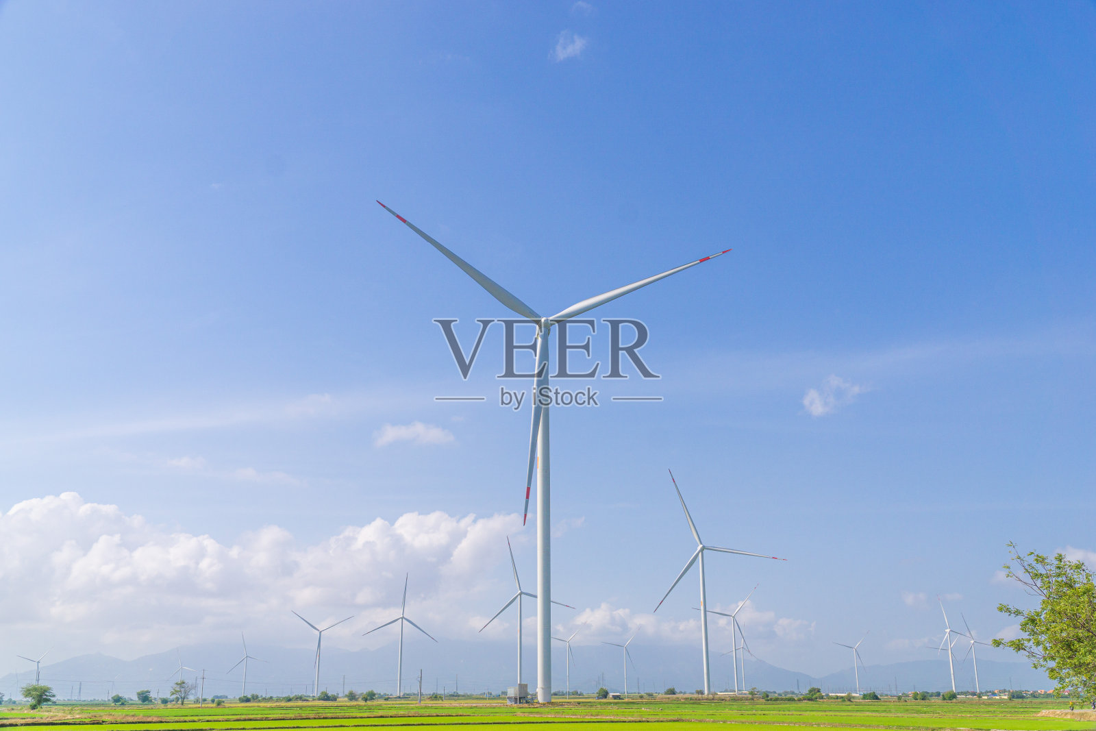 越南潘琅宁静的自然风光。在夏天，风力涡轮机在有许多树木的稻田和乡村道路上。照片摄影图片