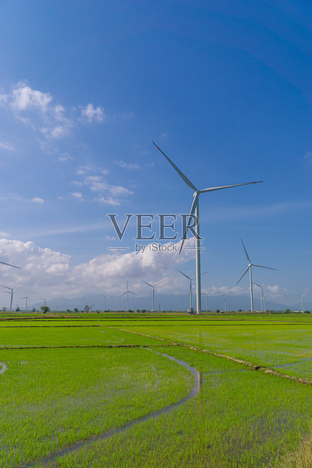 越南潘琅宁静的自然风光。在夏天，风力涡轮机在有许多树木的稻田和乡村道路上。照片摄影图片