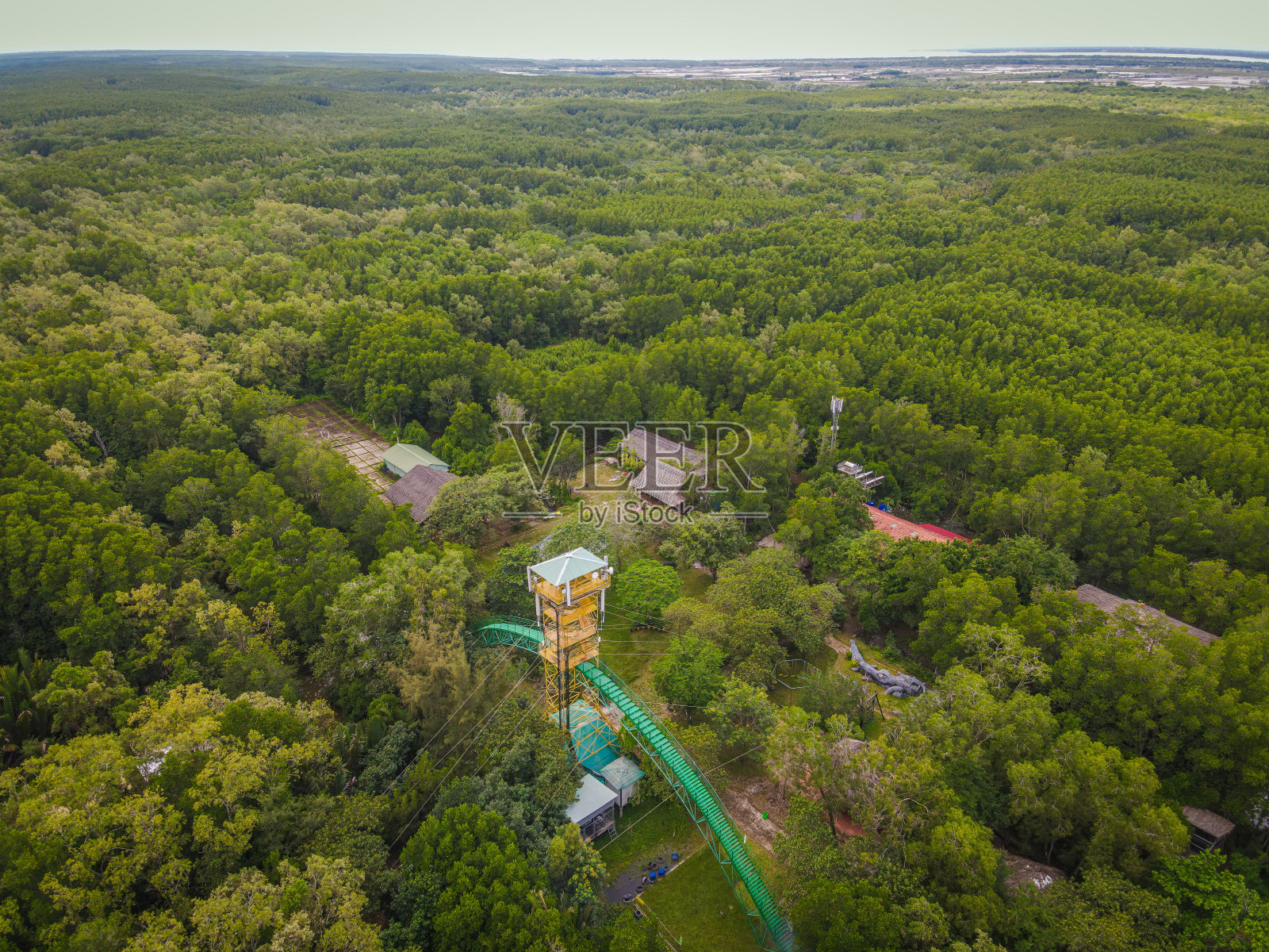 在越南Can Gio的Vam Sat的红树林鸟瞰图。美丽的大自然与唐邦森林瞭望塔。照片摄影图片