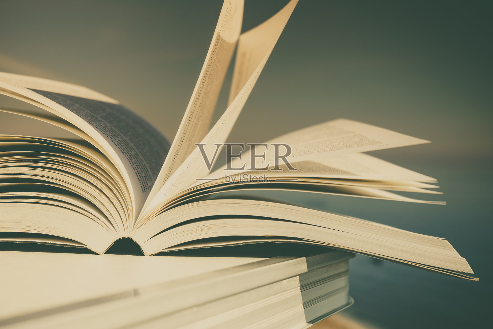 在户外开书。阅读照片摄影图片