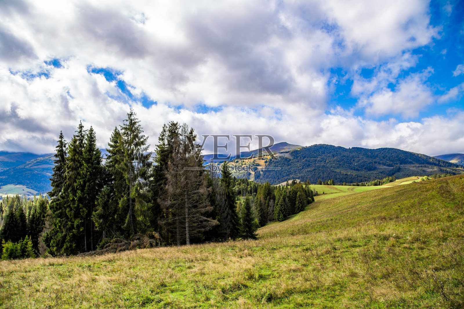 青山绿草如茵，森林如梦，蓝天白云。温暖的夏日。美丽的自然景观。照片摄影图片