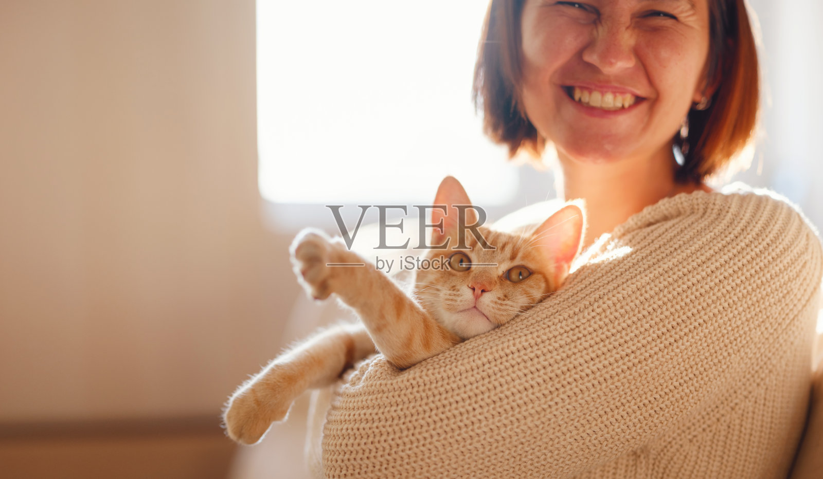 女人和猫在沙发上休息照片摄影图片