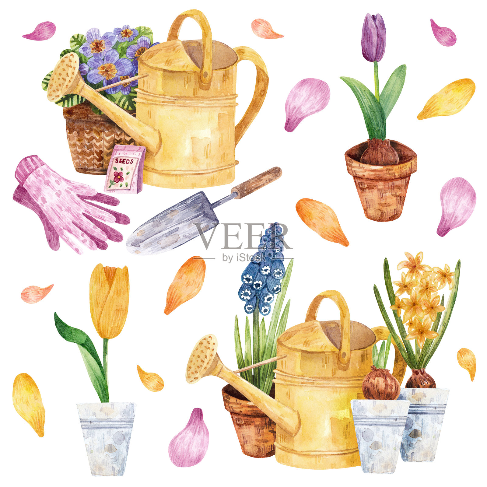 一套花卉手绘水彩插图。园艺和园艺工具。插画图片素材