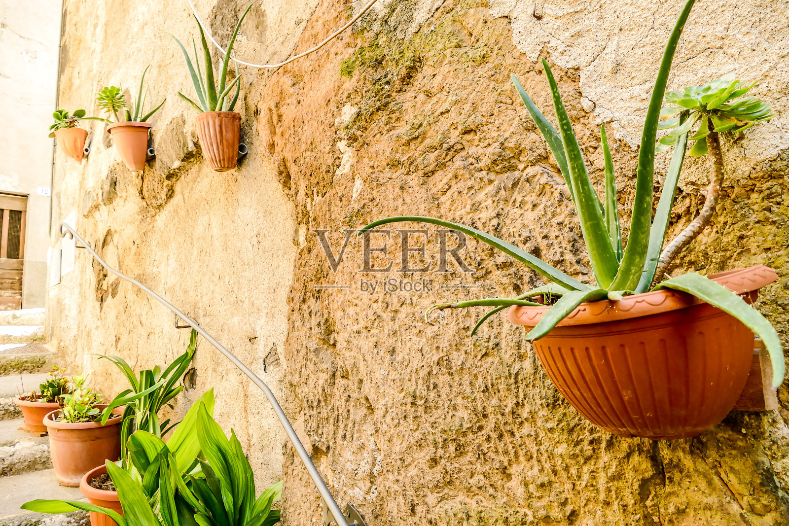 新鲜香草篮，数码照片照片作为背景照片摄影图片