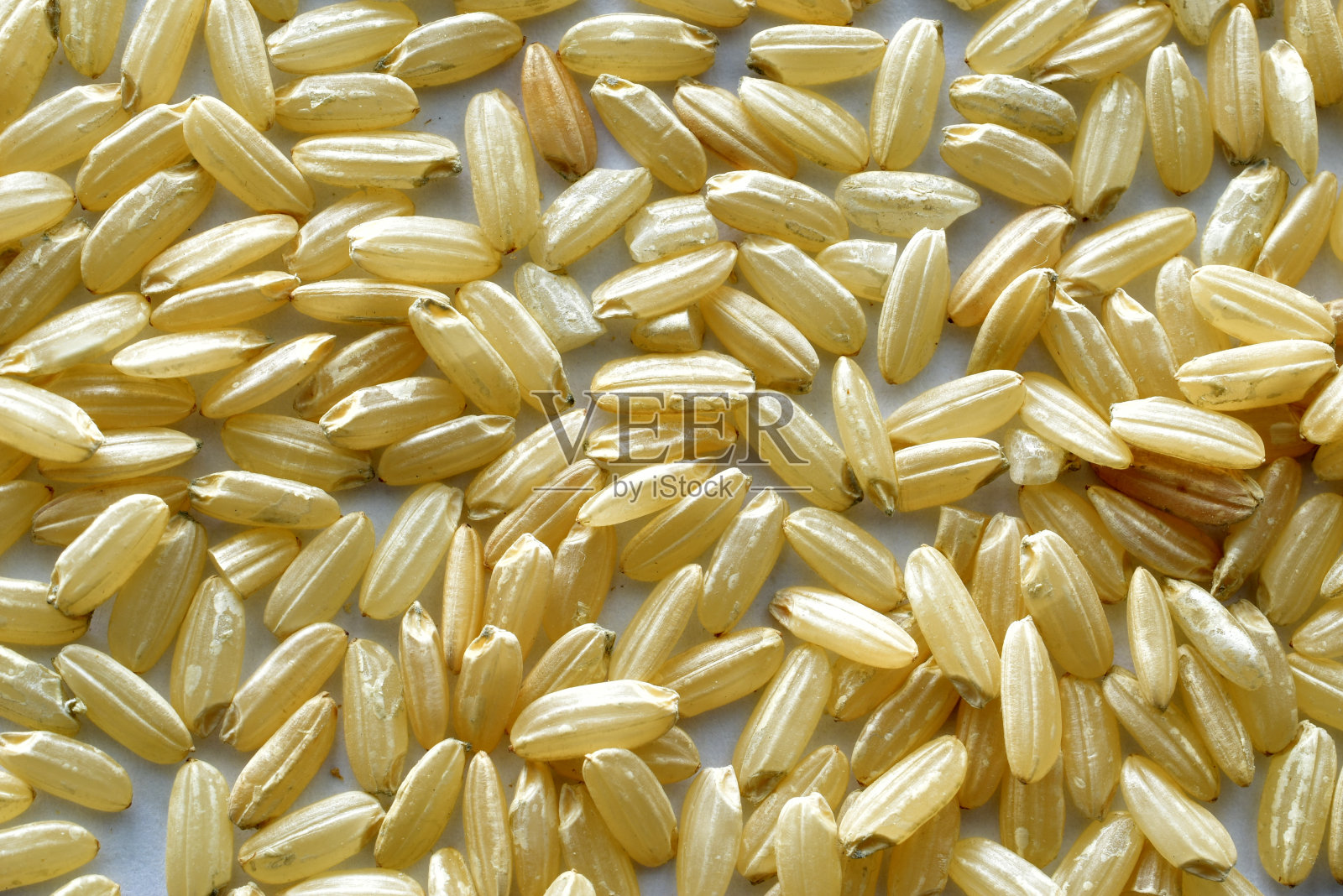 白色的桌子上放着米粒。照片摄影图片