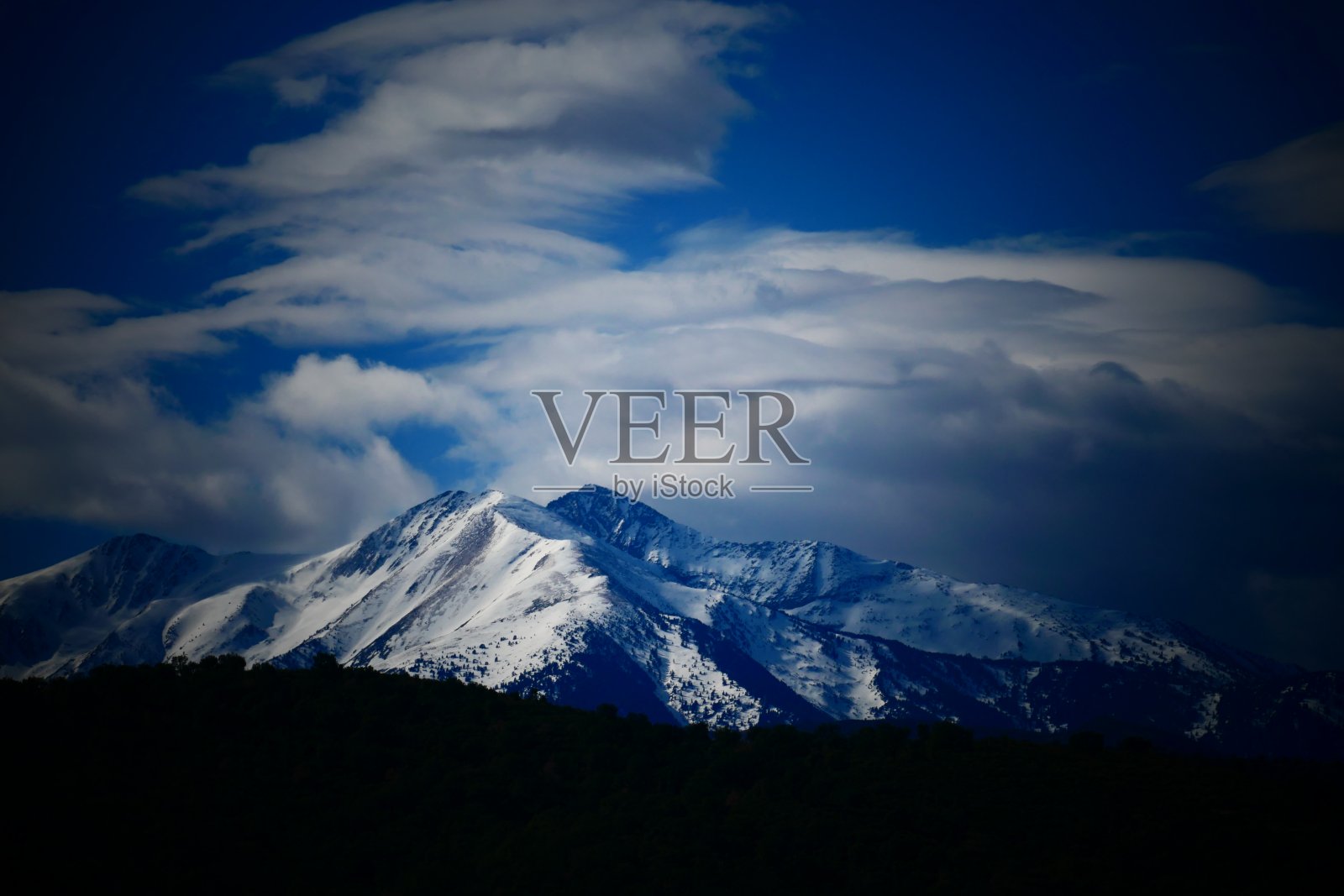 冬天的狗狗，pyrenees - orientales照片摄影图片