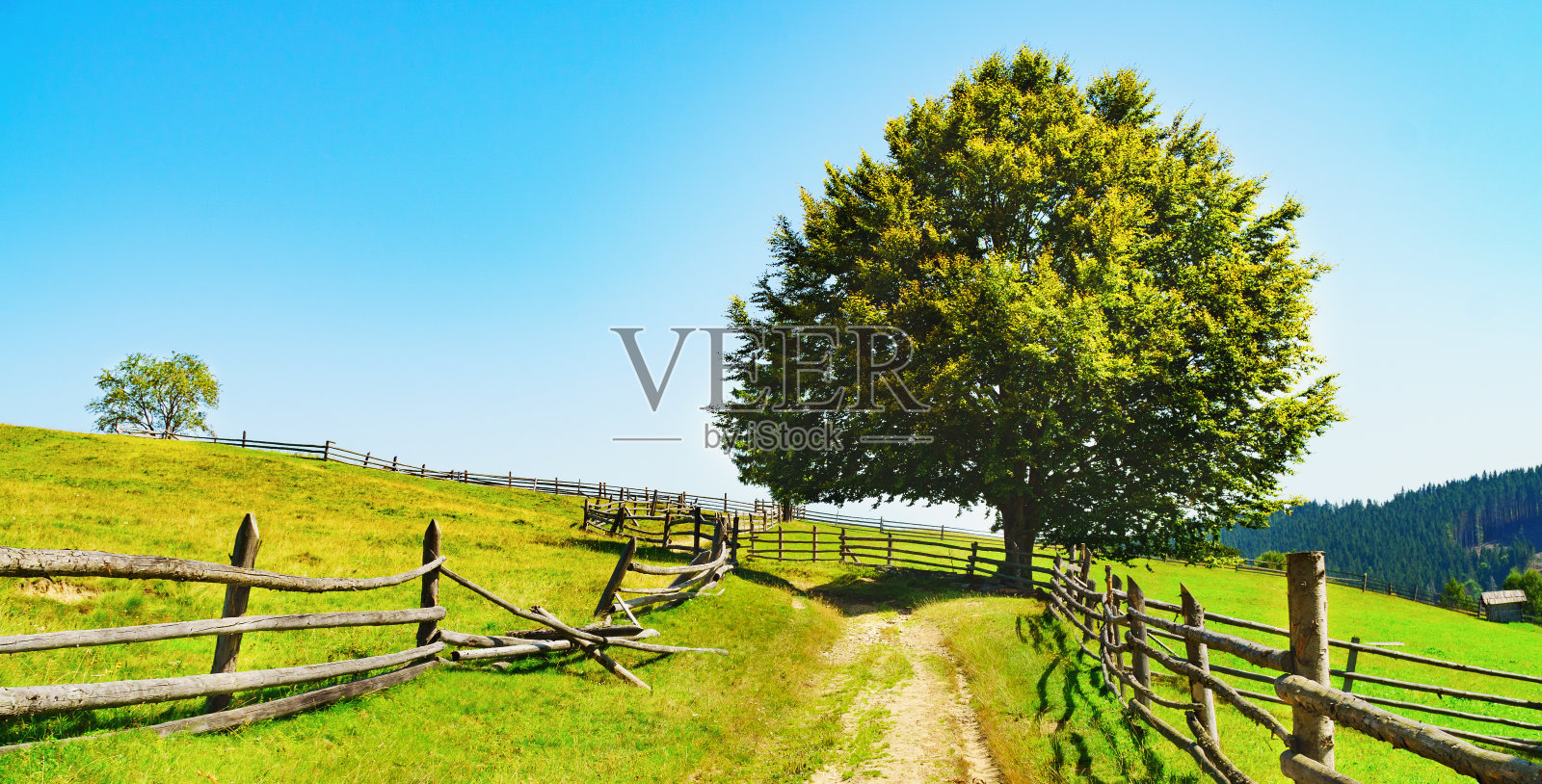 在夏天的早晨，伟大的乡村山脉景观。阳光明媚，景色迷人。新鲜的时令背景。发现地球的美丽照片摄影图片