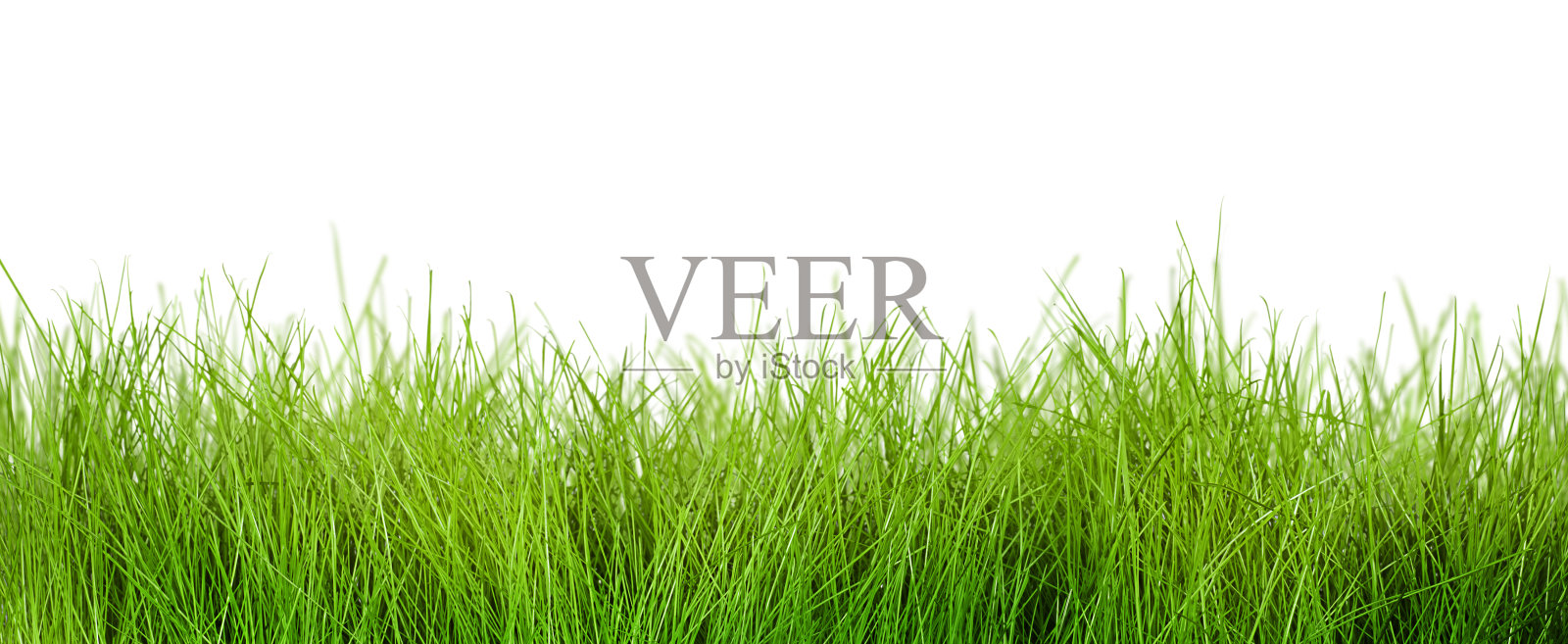 草照片摄影图片