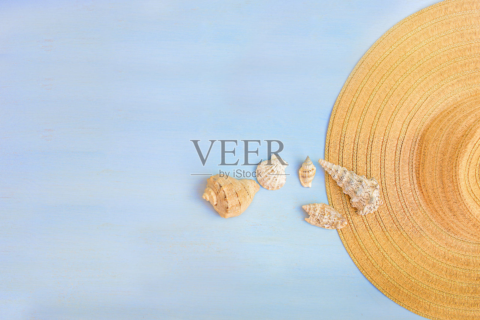 不同的贝壳和蓝色背景的帽子照片摄影图片