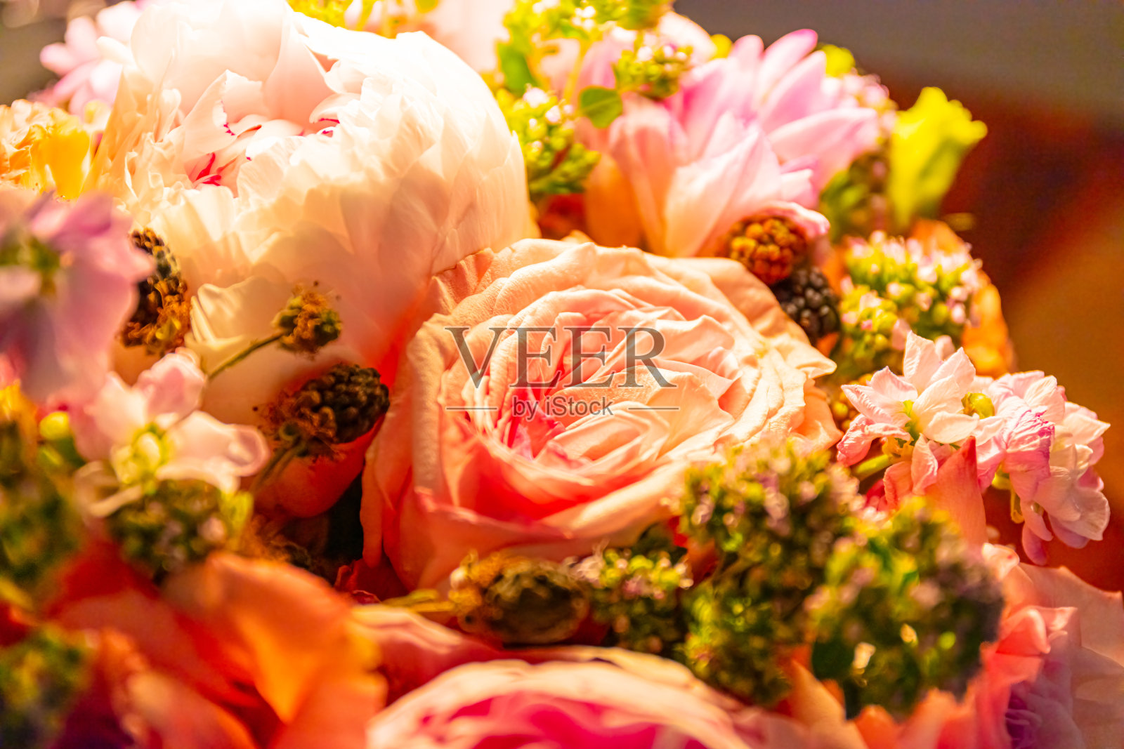 束玫瑰照片摄影图片