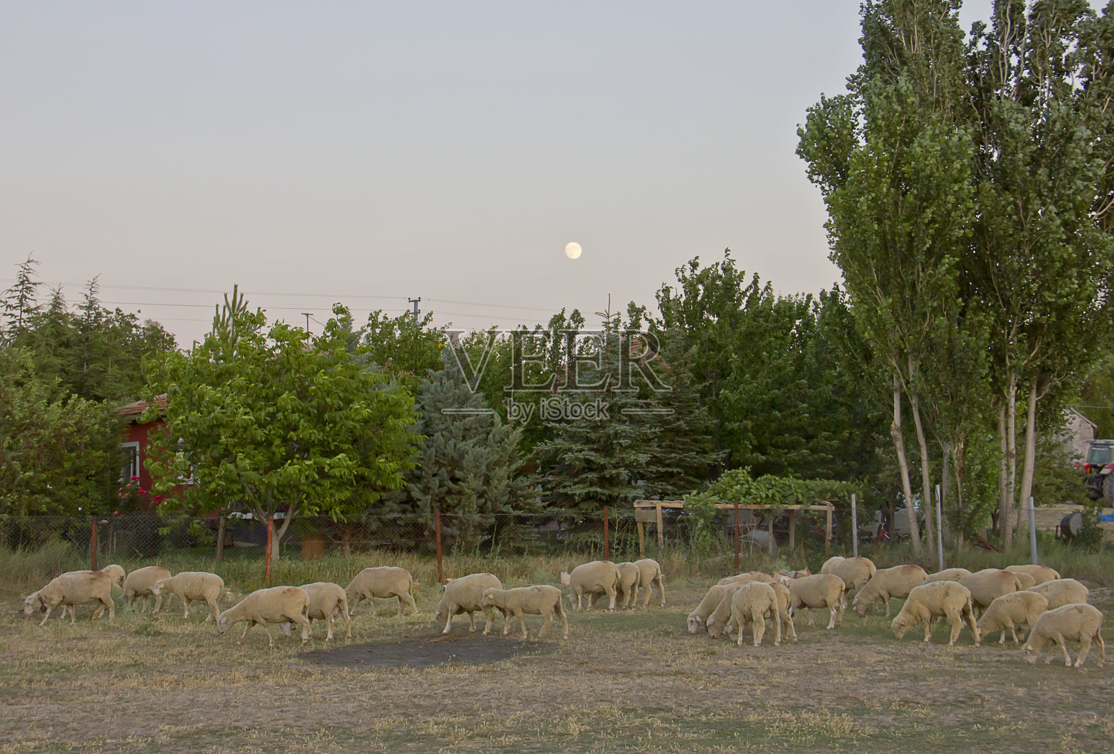 古老的土坯房屋和牧羊场照片摄影图片