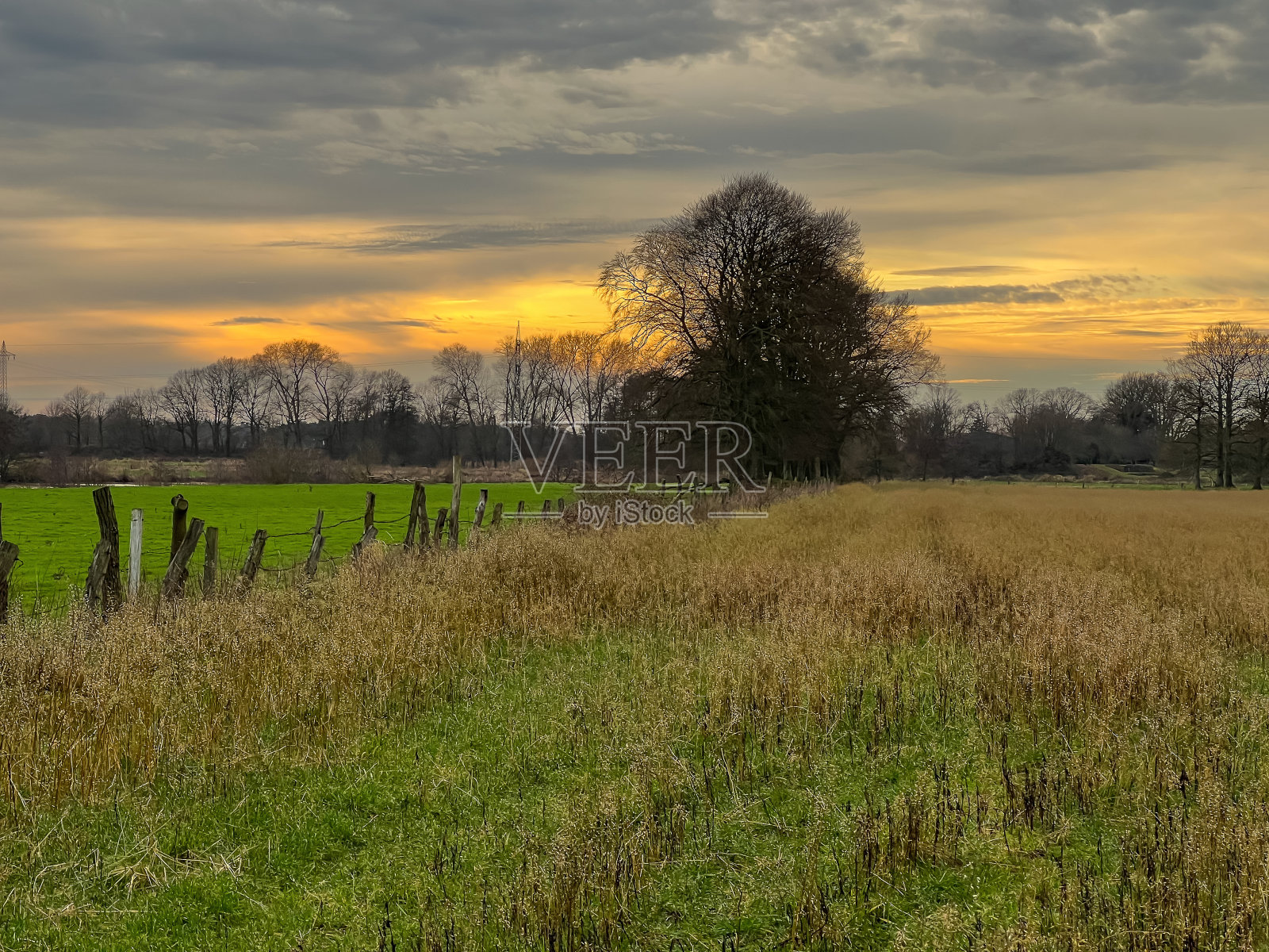 有篱笆的田野，背景是“Ems”河。照片摄影图片