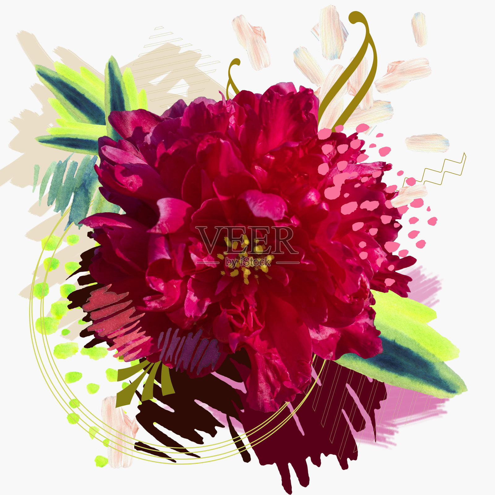 洋红牡丹头开花等抽象元素和水彩元素的拼贴与复制空间插画图片素材