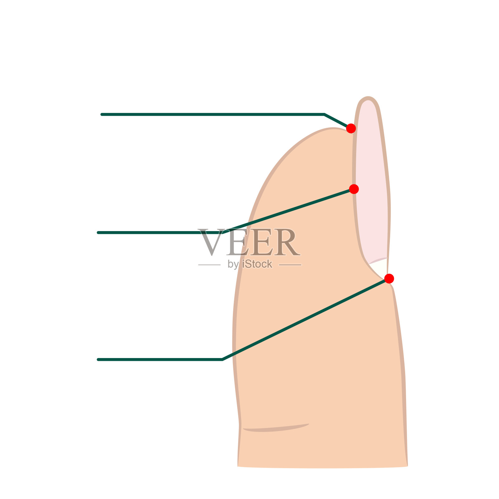 用手的食指钉一根钉子。平面矢量插图孤立在白色背景上。插画图片素材