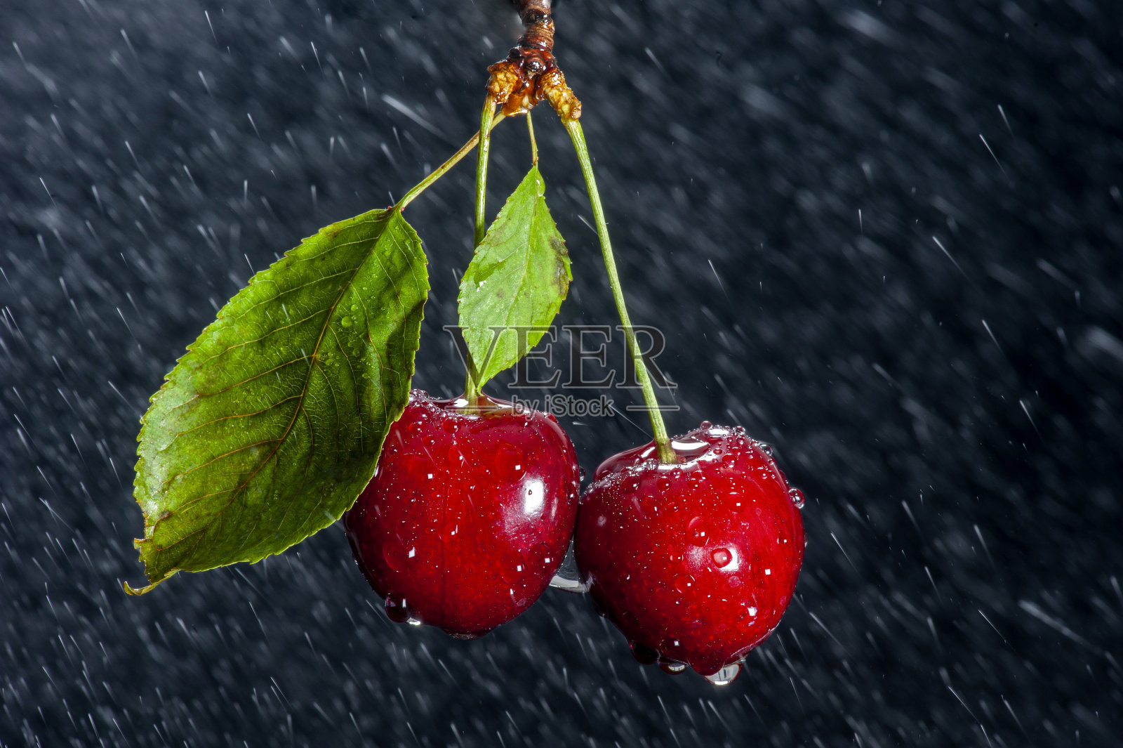 在演播室里有一对带雨效果的樱桃照片摄影图片