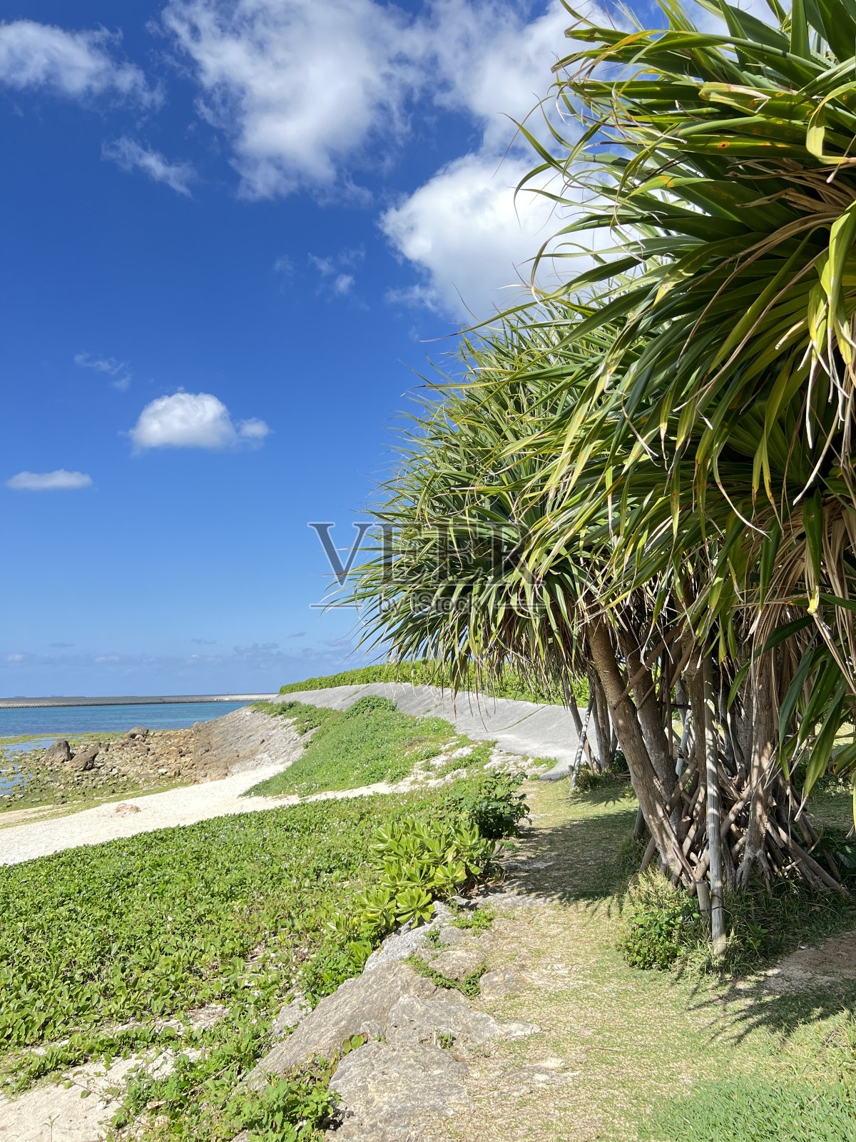 冲绳县富久岛风光照片摄影图片
