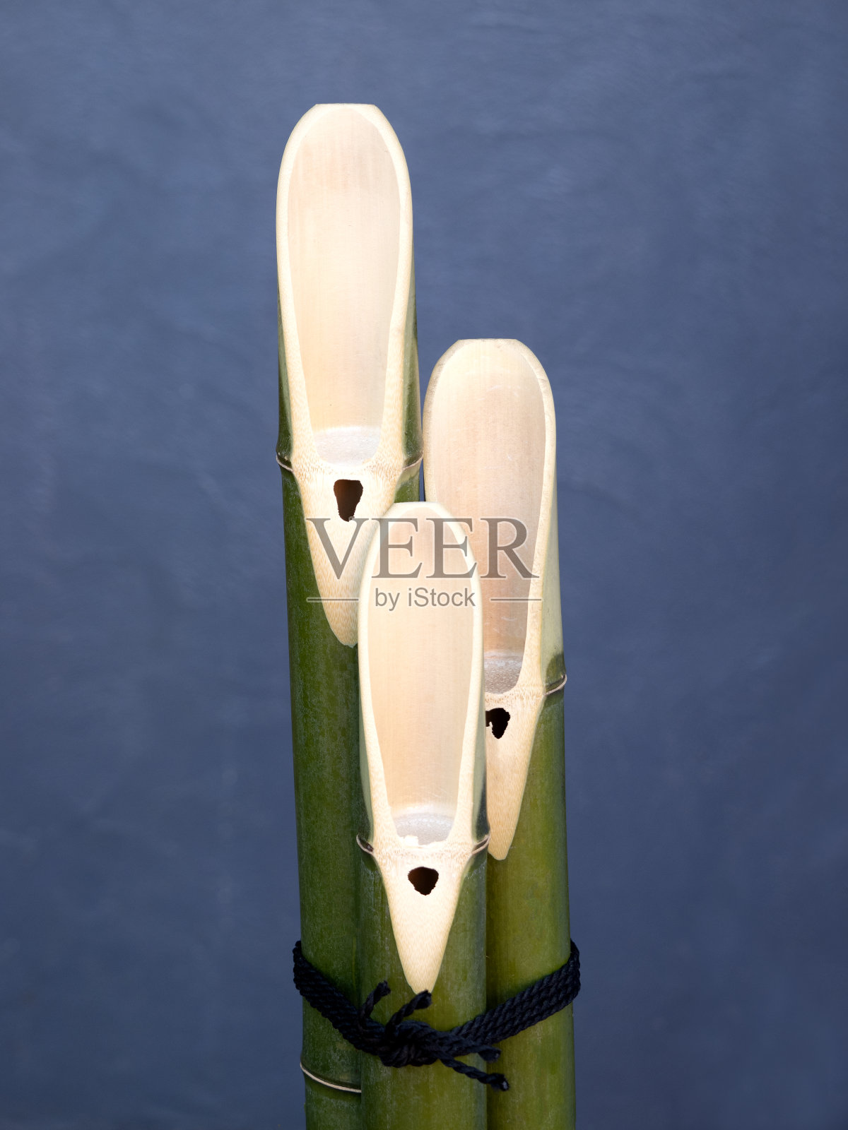 角松照片摄影图片