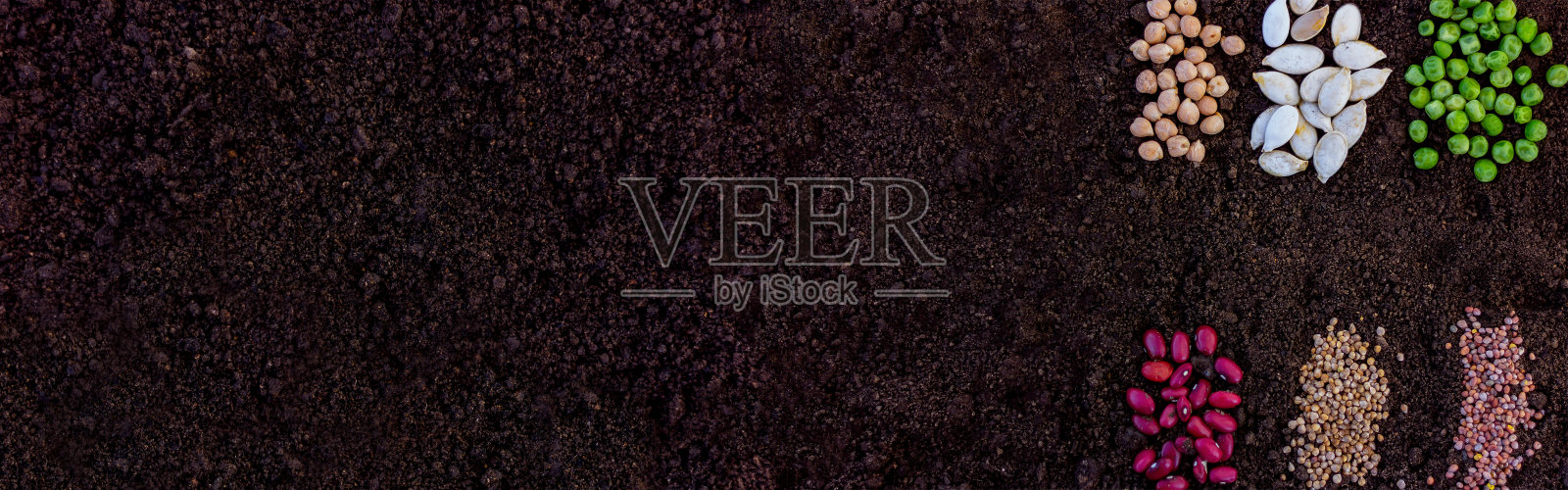 横幅与农业种子近距离的土壤顶部视图与复制空间。照片摄影图片