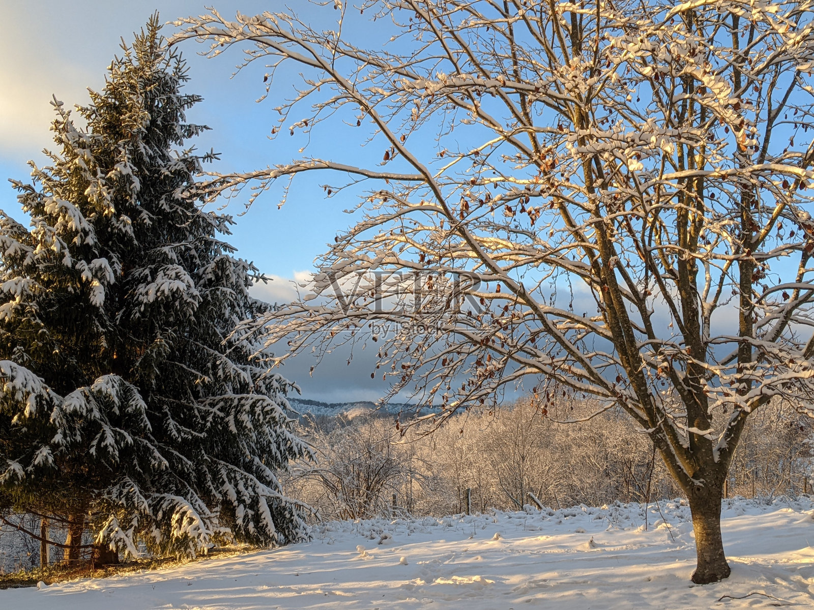 山雪照片摄影图片